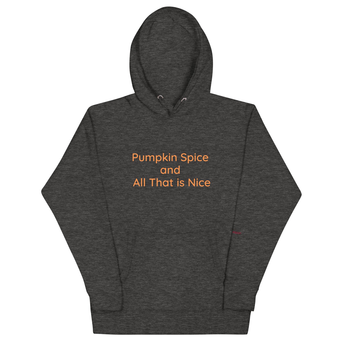 Pumpkin Spice and All That is Nice Unisex Premium Pullover Hoodie - Charcoal Heather