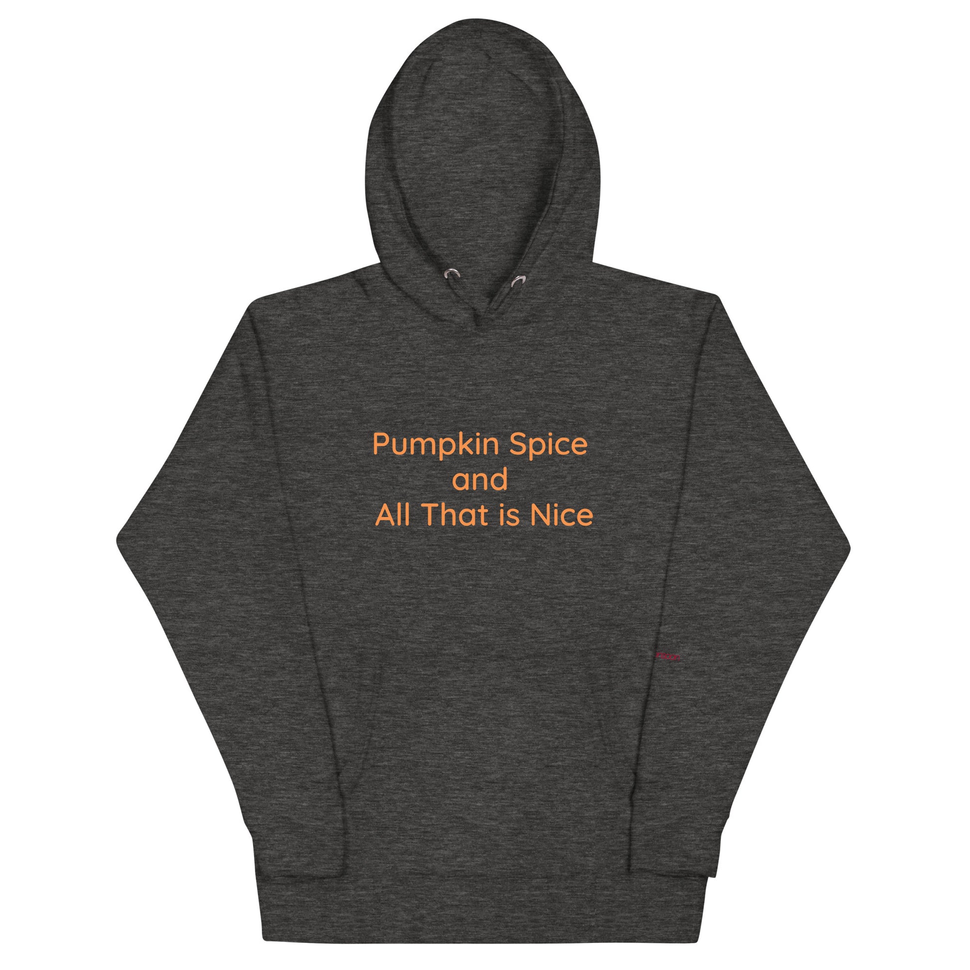 Pumpkin Spice and All That is Nice Unisex Premium Pullover Hoodie - Charcoal Heather