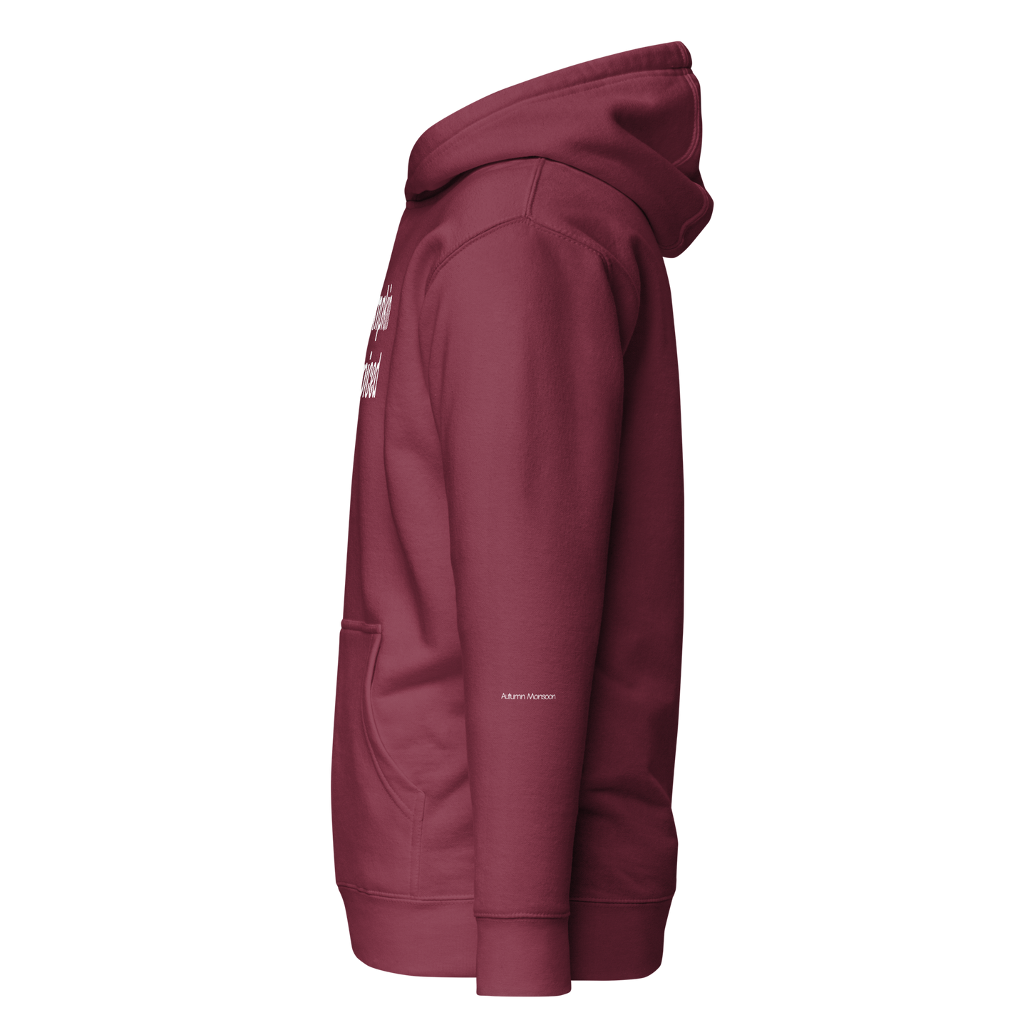 Pumpkin Spiced Unisex Premium Pullover Hoodie Left Side - Maroon