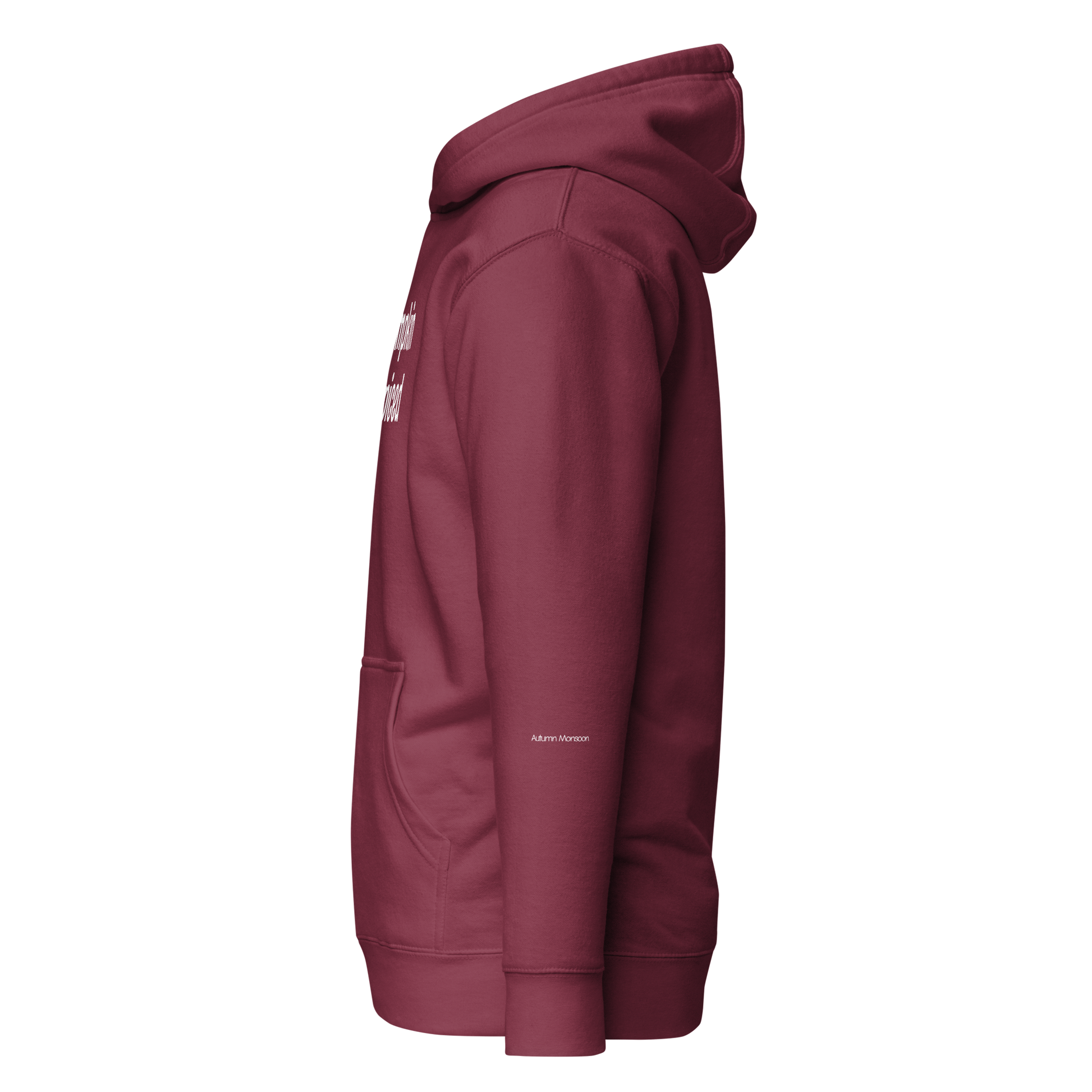 Pumpkin Spiced Unisex Premium Pullover Hoodie Left Side - Maroon